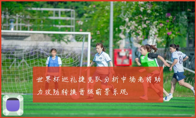 世界杯巡礼捷克队分析中场老将助力攻防转换晋级前景乐观
